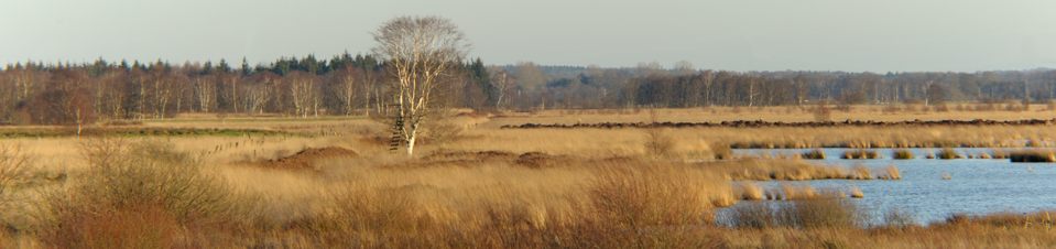 Pano Wildes Moor
